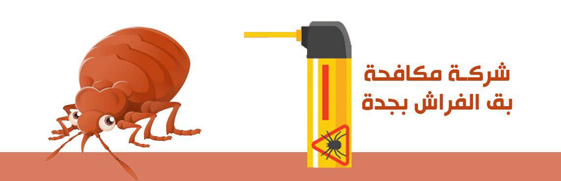 شركة مكافحة البق بجدة: الحل الأمثل لمشكلة البق في منزلك