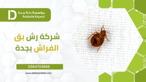 شركة نظافة بق افراش جدة: الحل الأمثل لراحة منزلك