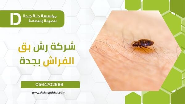 شركة مكافحة بق الفراش بجدة 3 شركة مكافحة البق بجدة