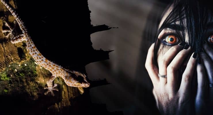 على ماذا يدل وجود الوزغ في البيت على ماذا يدل وجود الوزغ في البيت