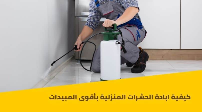ابادة حشرات المنزل و الفراش و القوارض بأقوى المبيدات ابادة حشرات المنزل و الفراش و القوارض بأقوى المبيدات