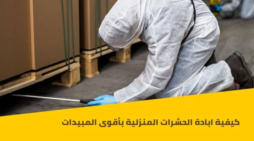 ابادة حشرات المنزل والقوارض بأقوي المبيدات 1 ابادة حشرات المنزل و الفراش و القوارض بأقوى المبيدات