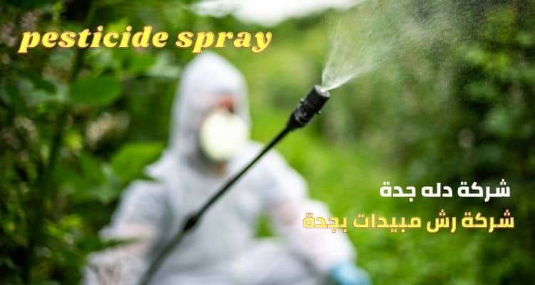 شركة رش مبيدات بجدة شركة رش مبيدات بجدة