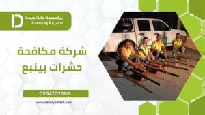 شركة مكافحة حشرات بينبع