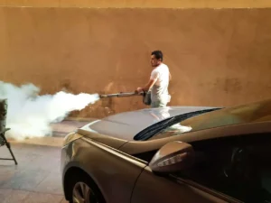 رش المبيدات الحشرية في الجراجات والأماكن المفتوحة