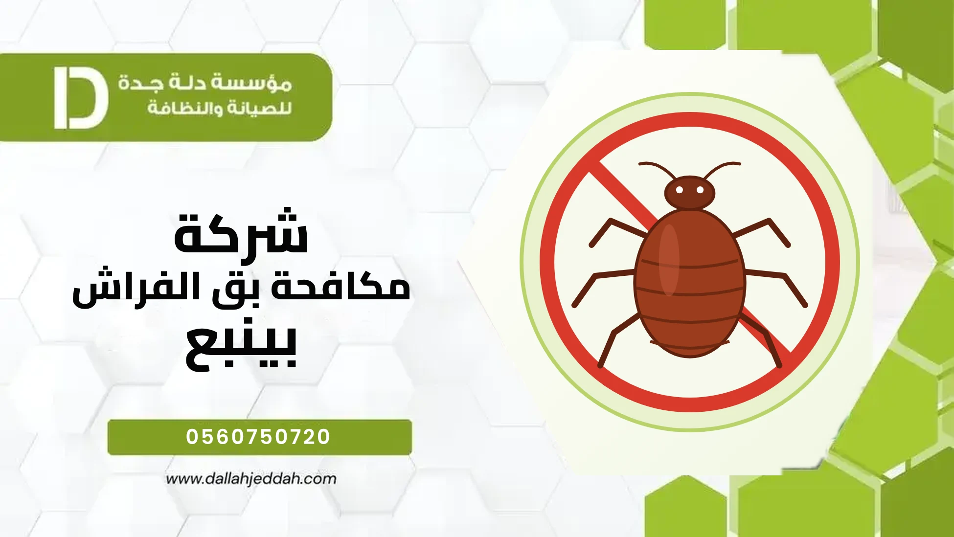 شركة مكافحة بق الفراش بينبع